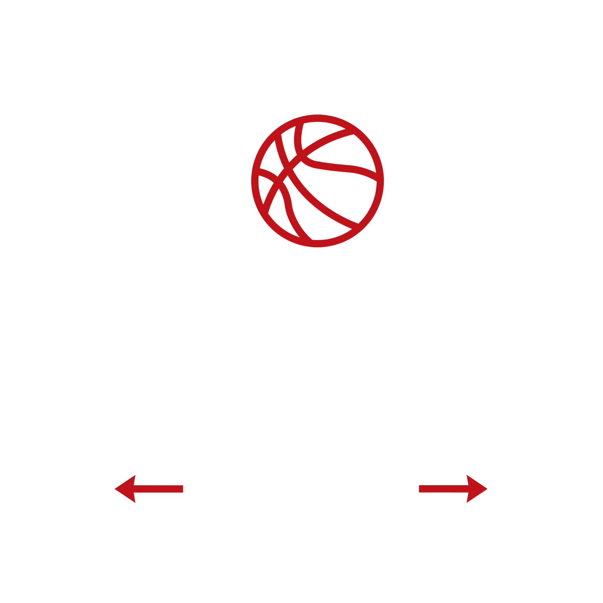 The Duel SL logo